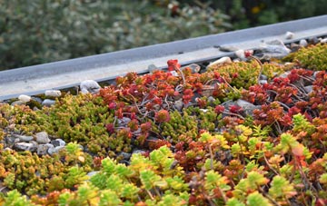the cost of Packers Hill green roof installation