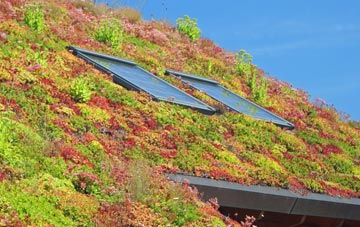 Packers Hill living roof systems
