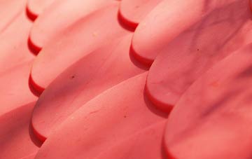 Packers Hill plastic roof costs