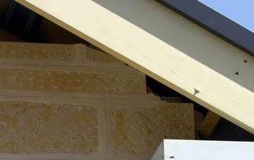 soffit repair Packers Hill
